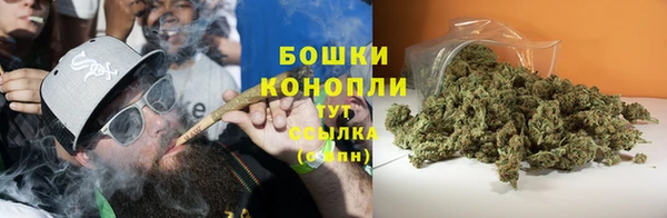 шишки Богородск
