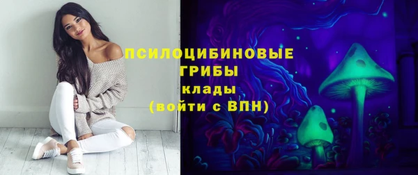 jwh Богородицк