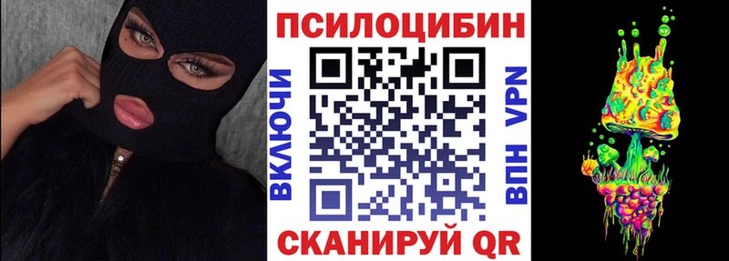 Псилоцибиновые грибы Psilocybe  Братск 